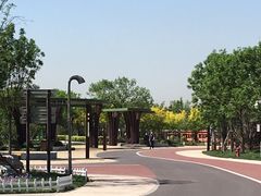 -武清南湖绿博园