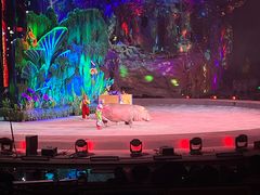 -广州长隆国际大马戏