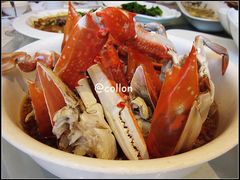 nEO_IMG_IMG_8415-上味·小海小鲜(中联店)
