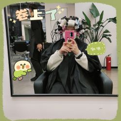 -蚂蚁造型俱乐部