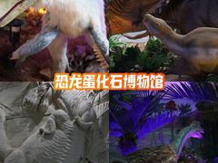 -中国西峡恐龙遗迹园