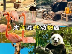 -大连海昌东方水城