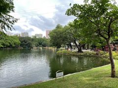 -晓港公园