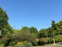-闵行文化公园-停车场