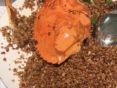 -喜记避风塘炒辣蟹(旗舰店)