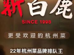 -新白鹿餐厅(虹桥南丰城店)