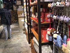 -猫咪博物馆(顶澳仔猫街店)