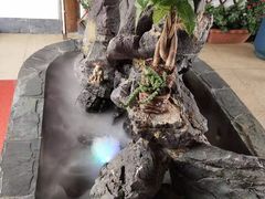 -蘑统田下·野生菌火锅