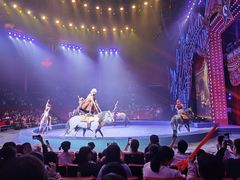 -珠海横琴长隆《卡卡虎奇遇记》