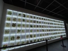 -广东中医药博物馆