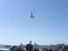 -大连圣亚海洋世界