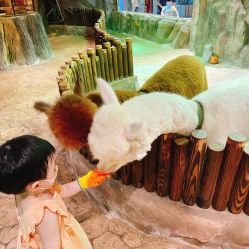 点击看大图 -宝燕乐园(闵行旗舰店)