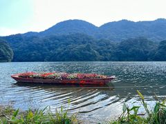 -广州市石门国家森林公园