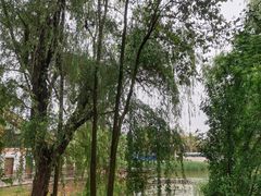 -三圣花乡旅游区