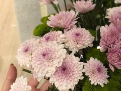 -二酉书店TOYOU BOOKS