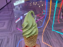 -蜜雪冰城(新世纪店)