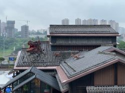 -恐龙探索乐园(磁器口店)