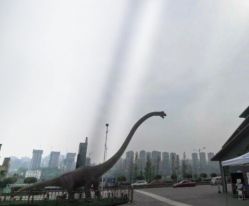-恐龙探索乐园(磁器口店)