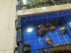 -皇朝海鲜酒店