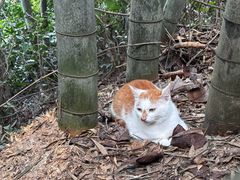 -敬亭山风景名胜区