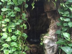 -上海大自然野生昆虫馆