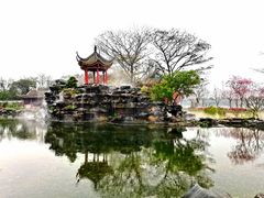 -顺峰山公园