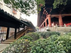 -绳金塔