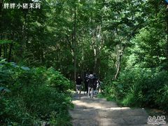 -帽儿山风景区