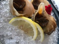 -花见无国界料理(科林楼店)