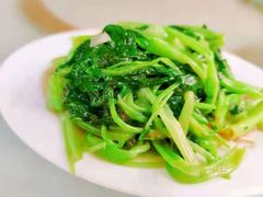 -新陶陶酒家