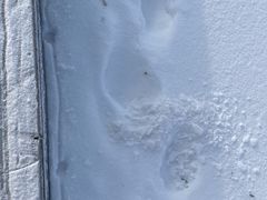 -长白山华美胜地滑雪场