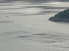 -小皓村