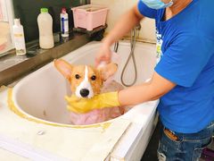 -康乐宝动物医院