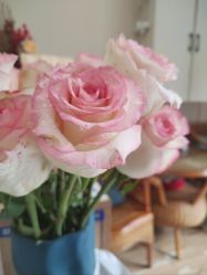 -悦艾堂·中医拔罐减肥·美体艾灸连锁