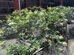 -东江渔村·古典园林·30年粤菜老字号(太和店)