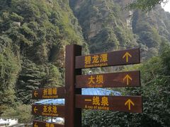 -庐山碧龙潭风景区