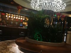 -润园四季椰子鸡火锅(海上世界店)