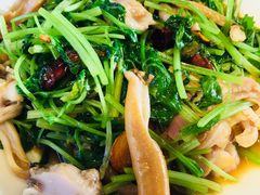 娃娃芹炒天鹅蛋-旺角小渔村·海肠捞饭开创者(环山路店)