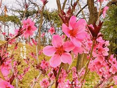 -海棠花溪(元大都城垣遗址公园)