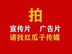 -红瓜子 影视后期 摄影摄像设计 新媒体运营技能培训(宝安校区)