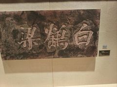 -白鹤梁水下博物馆
