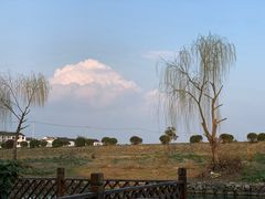 -莲花岛景区