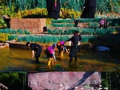 -云南民族村