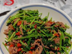 -壹盏灯(惠农店)