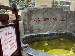 -哈尔滨太平湖温泉酒店