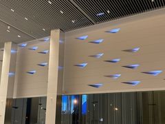 -国家会议中心大酒店-地上停车场