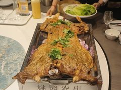 -桃园农庄烤全羊(江秋路店)