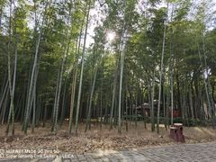 -同里国家湿地公园