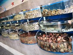 水产区-蓝珊甄选海鲜自助·火锅大排档(近阿那亚店)