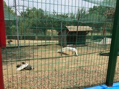 -武汉紫薇都市田园